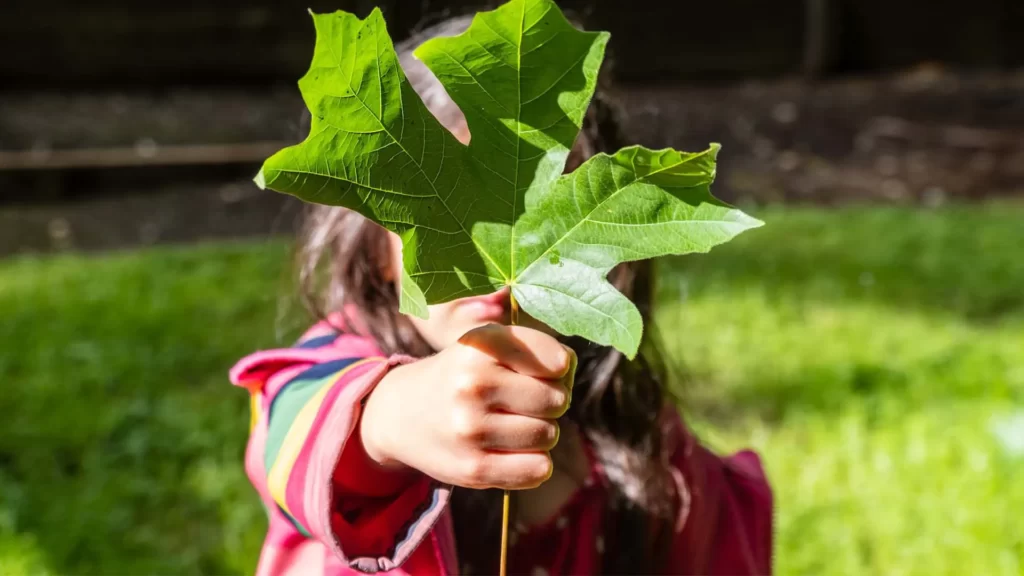 ramah lingkungan untuk anak